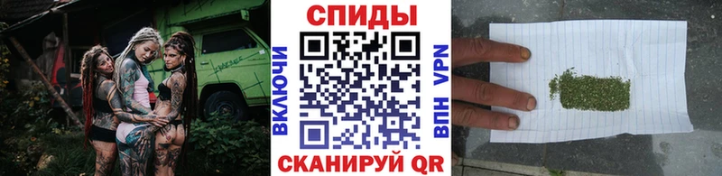 MEGA как зайти  Кольчугино  БУТИРАТ вода 