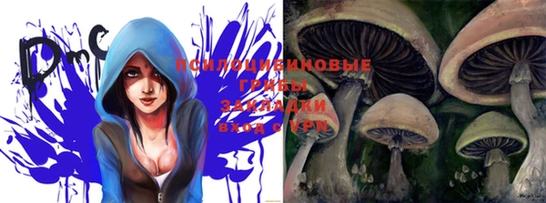 дурь Белокуриха