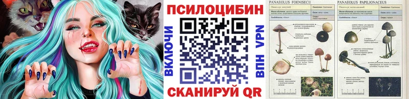 Псилоцибиновые грибы Cubensis Кольчугино